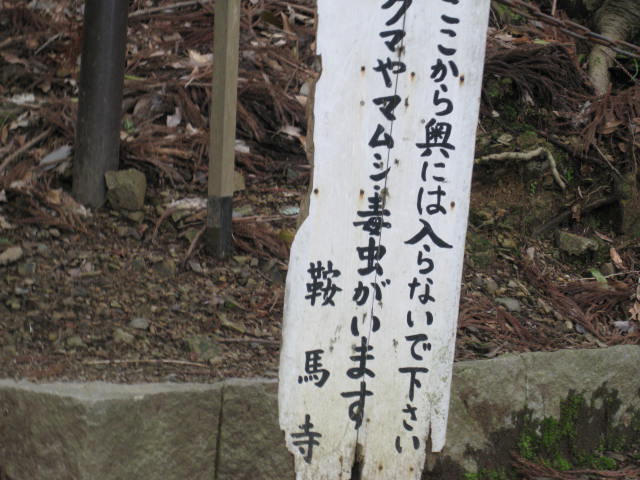 12-sakura-kyoto458.JPG