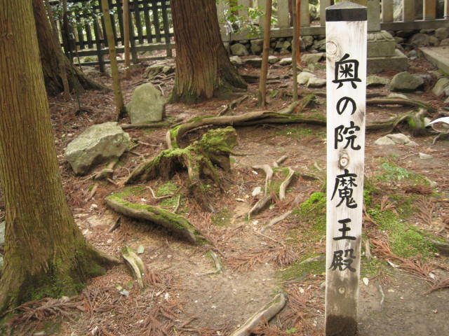 12-sakura-kyoto476.JPG