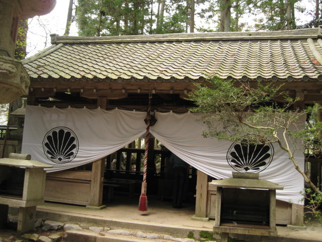 12-sakura-kyoto477.JPG