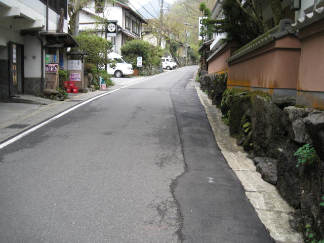 12-sakura-kyoto514.JPG