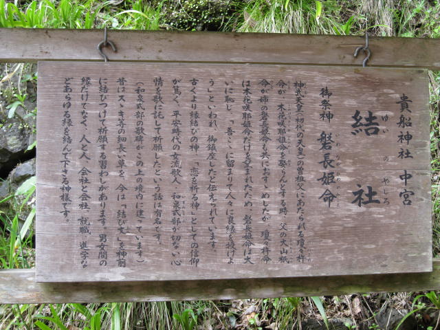 12-sakura-kyoto518.JPG
