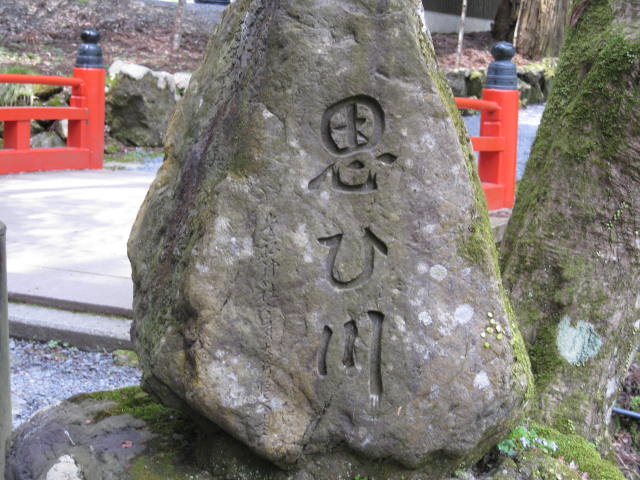 12-sakura-kyoto523.JPG
