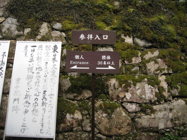 12-sakura-kyoto568.JPG