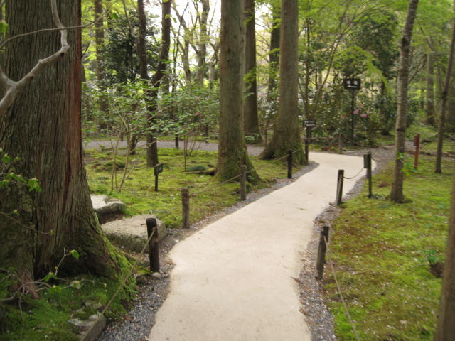 12-sakura-kyoto590.JPG