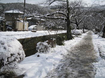 12-snow-kyoto33.JPG
