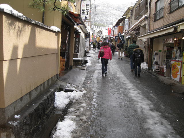 12-snow-kyoto35.JPG
