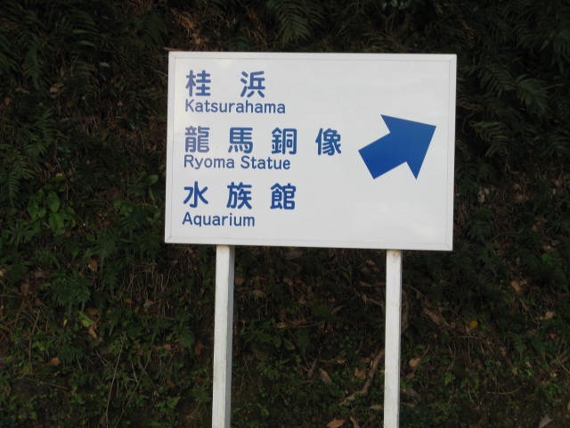 12-sp-kouchi12.JPG