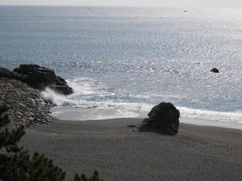 12-sp-kouchi18.JPG