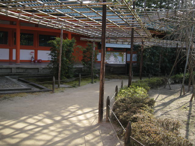 12-ume-kyoto70.JPG