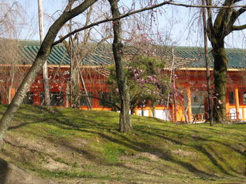 12-ume-kyoto72.JPG