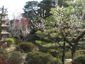 12-ume-kyoto73.JPG