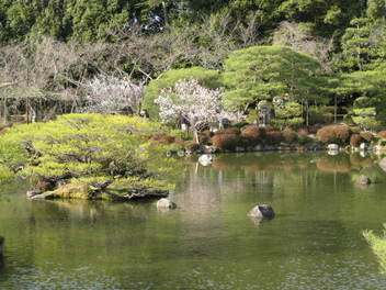 12-ume-kyoto76.JPG