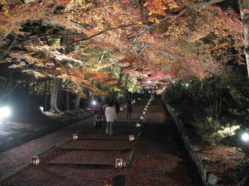 13-koyo-kyoto107.JPG
