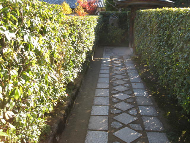 13-koyo-kyoto67.JPG