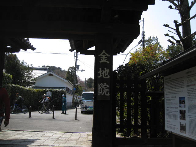 13-sakura-kyoto18.JPG