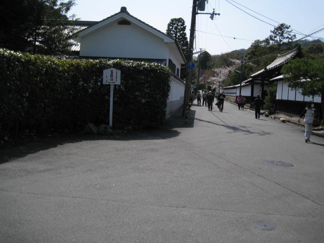 13-sakura-kyoto20.JPG
