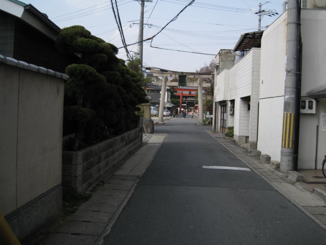 13-ume-kyoto8.JPG
