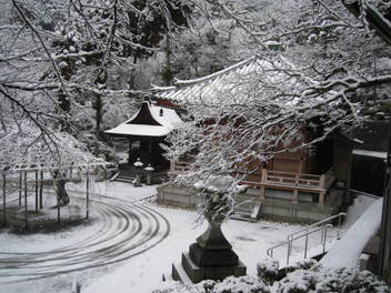 14-snow-kyoto13.JPG