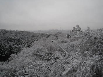 14-snow-kyoto22.JPG