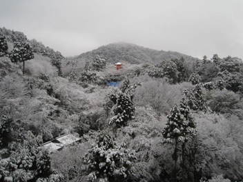14-snow-kyoto23.JPG