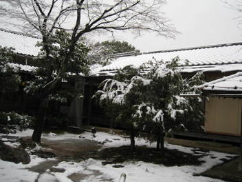 14-snow-kyoto41.JPG