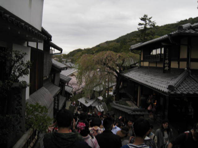 15-sakura-kyoto9.JPG