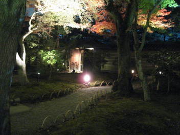 15k-koyo-kyoto126.JPG