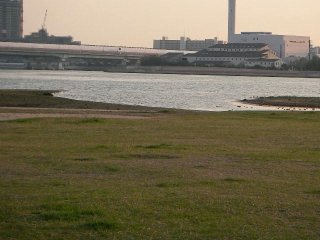 syukugawa-2006sakura-52.JPG