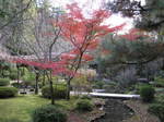 10-koyo-kyoto318.JPG