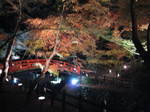 10-koyo-kyoto927.JPG