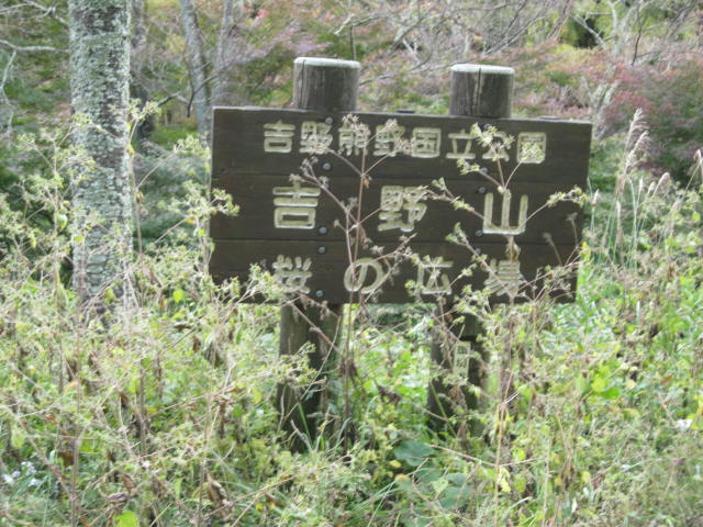10-koyo-yoshino100.JPG