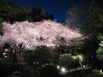 10-sp-kyoto-990.JPG