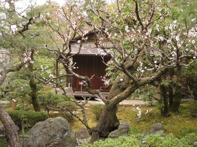 11-sp-kyoto111.JPG