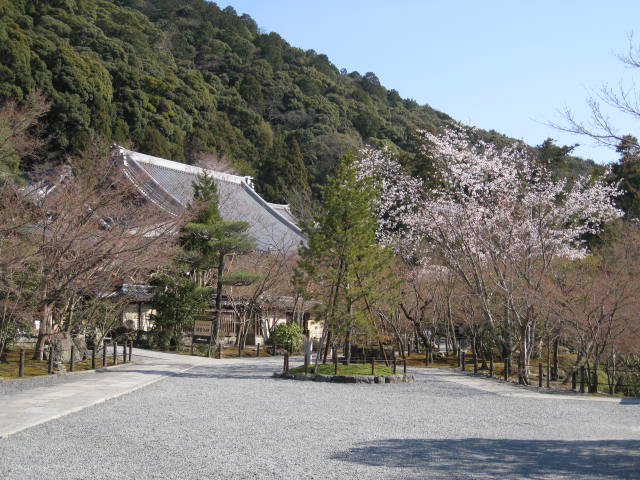 11-sp-kyoto297.JPG