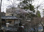 11-sp-kyoto302.JPG