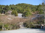 11-sp-kyoto306.JPG