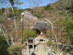 11-sp-kyoto309.JPG