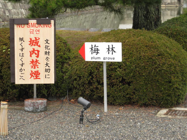 11-sp-kyoto391.JPG