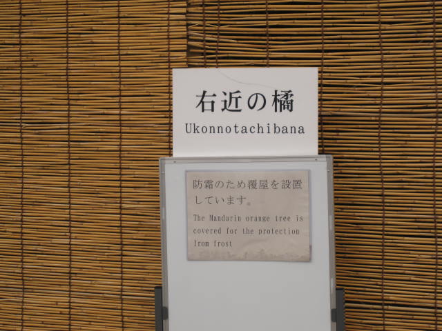 11-sp-kyoto478.JPG