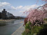 11-sp-kyoto540.JPG