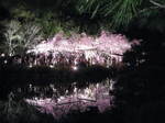 11-sp-kyoto633.JPG