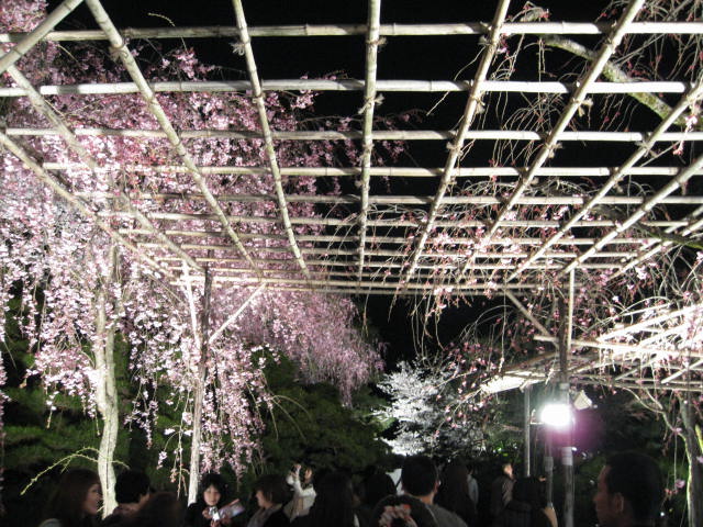 11-sp-kyoto634.JPG