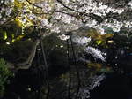 11-sp-kyoto666.JPG