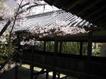 11-sp-kyoto751.JPG