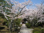 11-sp-kyoto752.JPG